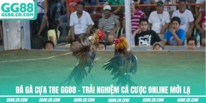 Ảnh đại diện đá gà cựa tre