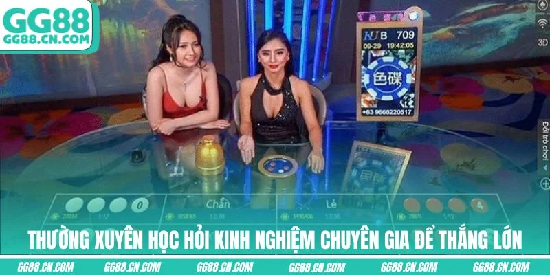 Thường xuyên học hỏi kinh nghiệm chuyên gia để thắng lớn