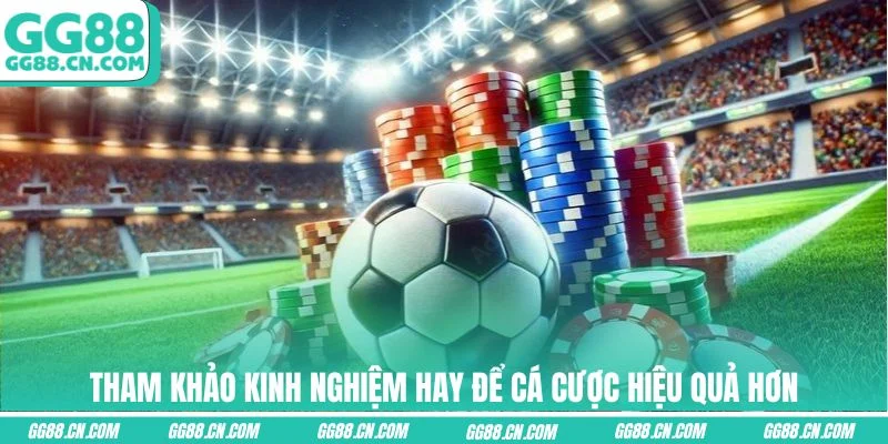Tham khảo kinh nghiệm hay để cá cược hiệu quả hơn